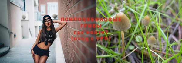 гидропоника Балахна