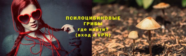 дживик Баксан
