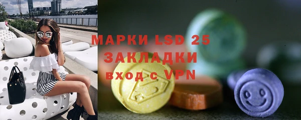 индика Арсеньев