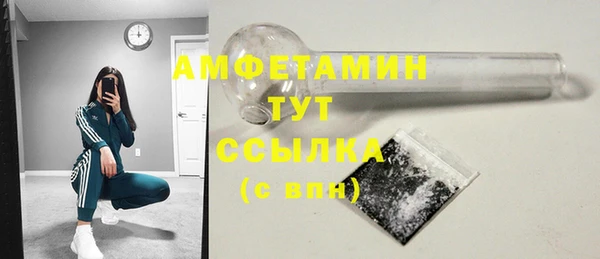 прущие грибы Балабаново