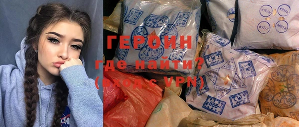 индика Арсеньев