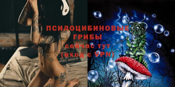 ECSTASY Сосновоборск