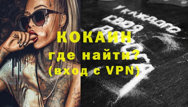 индика Арсеньев