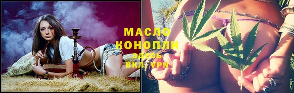индика Арсеньев