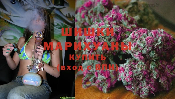 индика Арсеньев