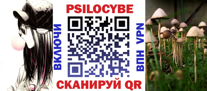OMG ссылка  Циолковский  Псилоцибиновые грибы Psilocybe 